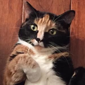 Meet your Posher, Angela